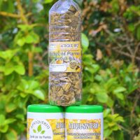 Remède sinusite Plantes Soigner Sinusite