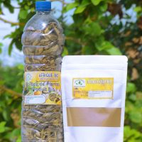 Remède Naturel Sinusite Soigner Sinusite naturellement