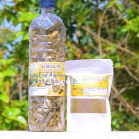 Plante naturelle pour traiter annexite