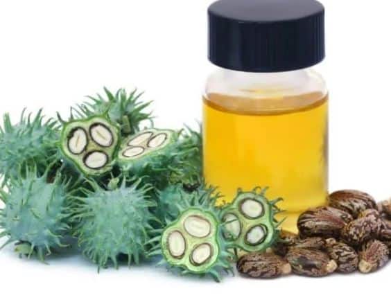 Plante pour soigner le kyste testiculaire