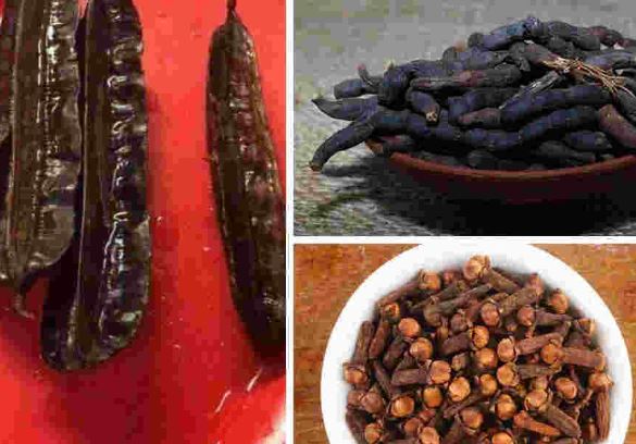 Fibrome et Gattilier Traitement Fibrome Utérin avec le Gattilier