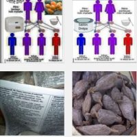 Traitement Naturel Drépanocytose