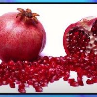 Traitement Naturel Cancer du Pancréas