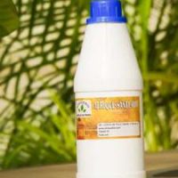 traitement naturel du diabète soigner diabète