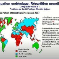 Traitement Naturel Hépatite B