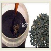 Graine de nigelle Bienfaits