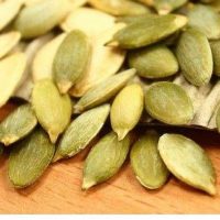 Épilepsie Maladies Convulsives