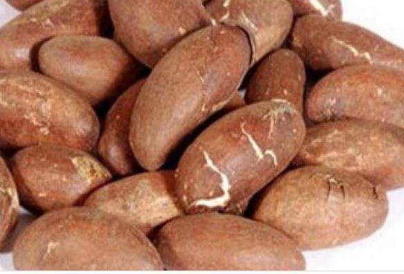 Petit Cola et Hépatite B : Les Bienfaits du Petit Cola