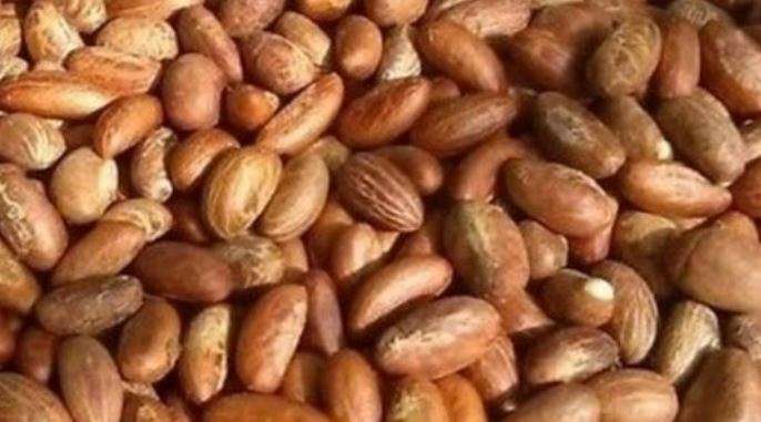 Petit Cola : Bienfaits Dangers Utilisations du Petit Cola