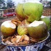 Hydrocèle Testiculaire Remède Maison