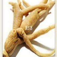 Plante contre éjaculation précoce