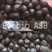 Traitement naturel Kyste au Testicule