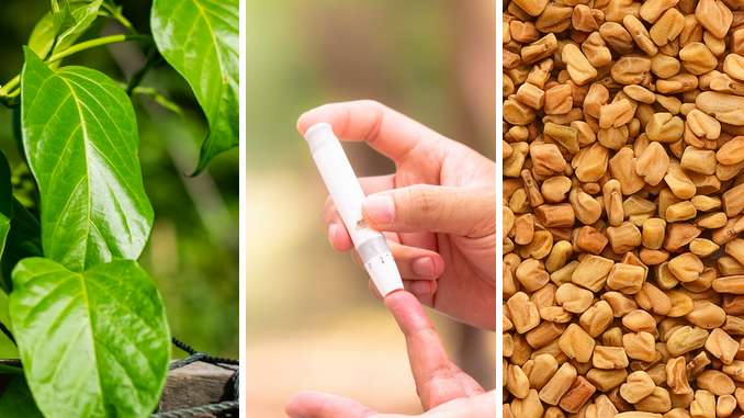 Le diabète traitement naturel pour guérir