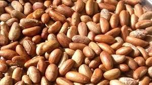 Les Bienfaits du Petit Cola