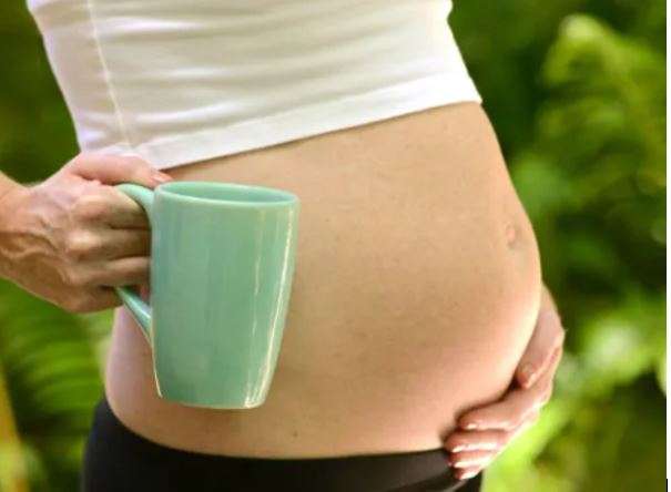 Recettes et plantes pour tomber enceinte