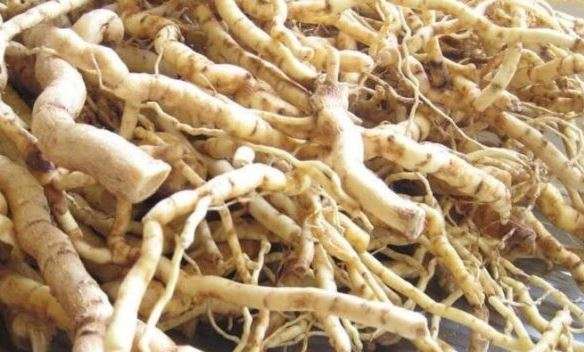 Maladies des Trompes Comment Tomber Enceinte Naturellement?