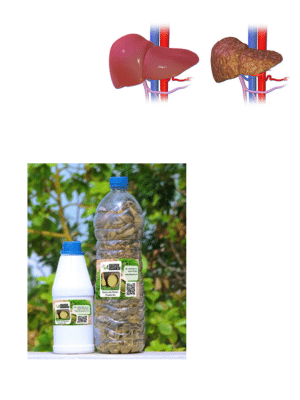 Solution naturelle contre l'hépatite B