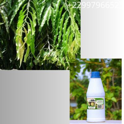 Remède naturel avec la veuve pleureuse