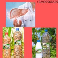 Remède naturel contre l'hépatite E