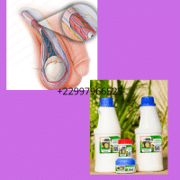 Solution naturelle contre l'atrophie testiculaire bilatérale