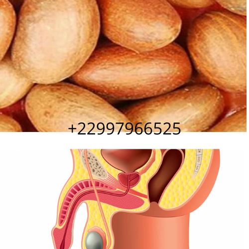 Petit cola pour agrandir le pénis