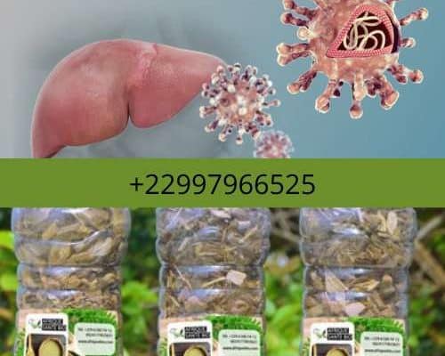 Plante pour soigner l'hépatite C