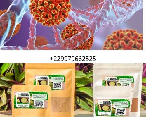 Plante pour finir avec l'hépatite B