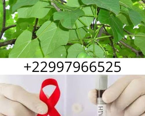 Bienfaits du Jatropha curcas