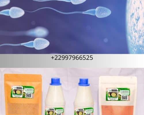 Plante pour soigner l'oligospermie