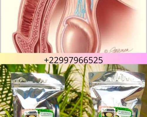 Solution Naturelle Contre L'atrophie Testiculaire